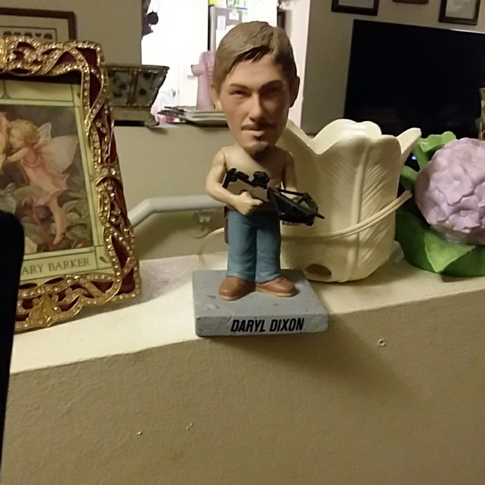 DARYL DIXON /WALKING DEAD CHARACTER
